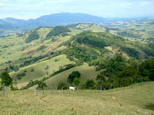 Sítio Serra Mantiqueira